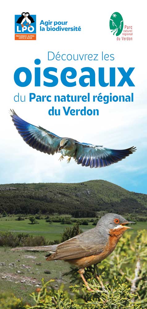 Discover the birds of the Verdon Regional Natural Park (PDF)