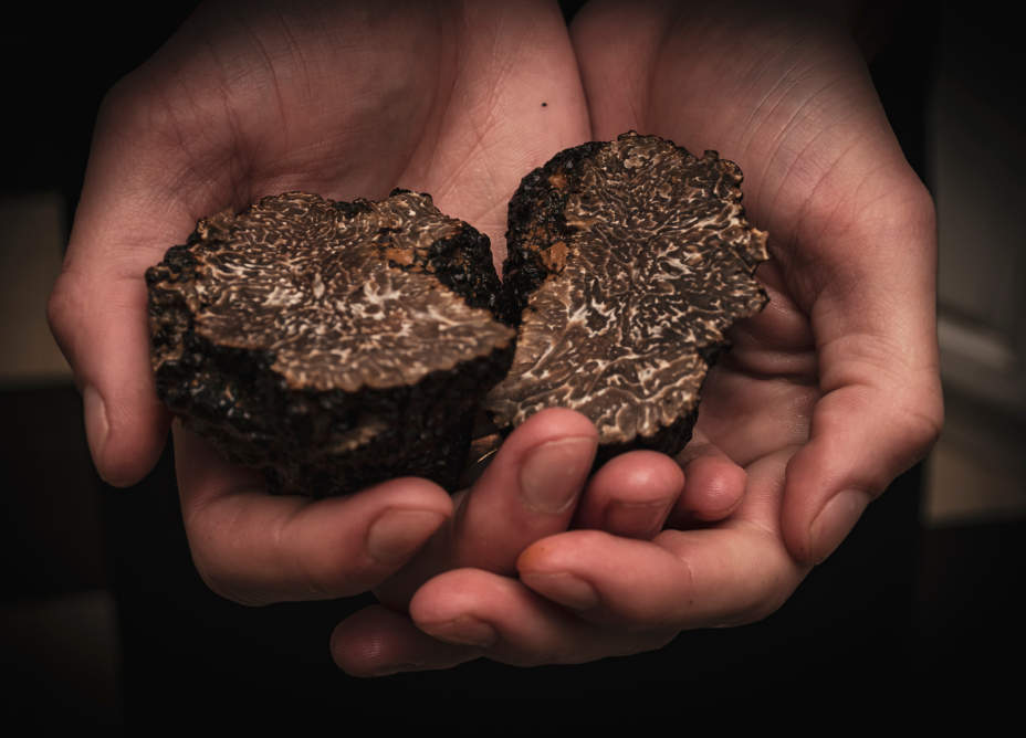 Les Collines du Haut-Var